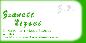 zsanett mizsei business card